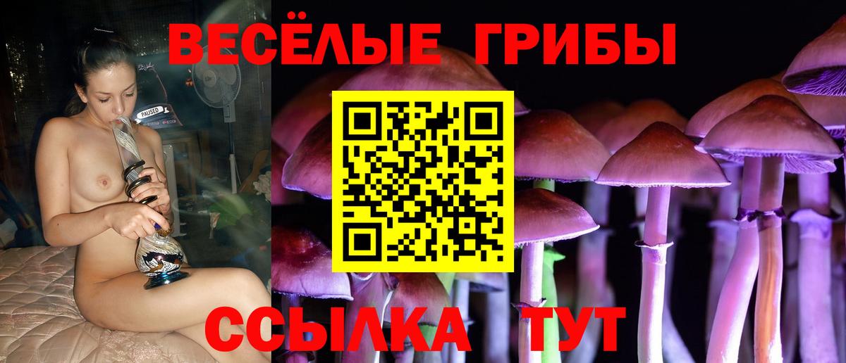 Галлюциногенные грибы Cubensis  закладки  Сокол  Вход с VPN 